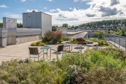 Aussicht von der Dachterrasse des Zusammenhalt auf die umliegenden Wälder