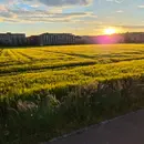 Prairie au coucher du soleil