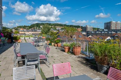 Die begrünte Gemeinschaftsterrasse des Zusammen-h-alt mit Blick auf die umliegenden Wälder