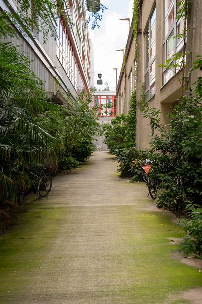 Der begrünte Durchgang zwischen den bestehenden Bauten und dem Neubau wird zu einer beliebten Begegnungszone