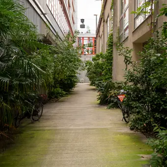 Der begrünte Durchgang zwischen den bestehenden Bauten und dem Neubau wird zu einer beliebten Begegnungszone