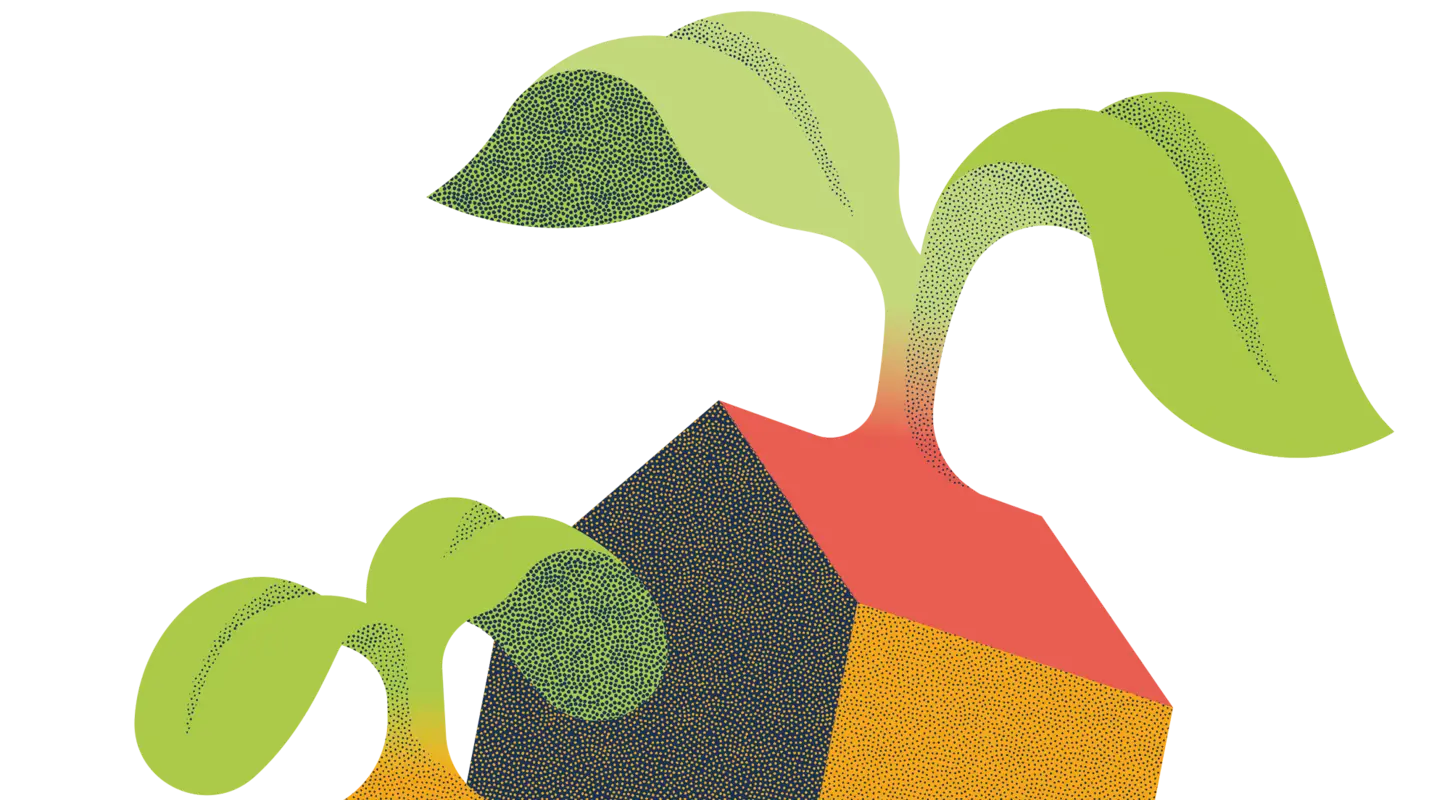 Illustration einer Münze und eines Hauses, beide stecken wie Samen in der Erde und haben kleine Keimblätter. Das Bild symbolisiert die nachhaltigen Anlagen von Abendrot in Wertschriften und Immobilien.