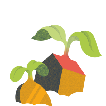 Illustration einer Münze und eines Hauses, beide stecken wie Samen in der Erde und haben kleine Keimblätter. Das Bild symbolisiert die nachhaltigen Anlagen von Abendrot in Wertschriften und Immobilien.