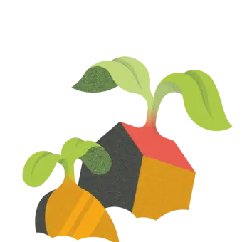Illustration einer Münze und eines Hauses, beide stecken wie Samen in der Erde und haben kleine Keimblätter. Das Bild symbolisiert die nachhaltigen Anlagen von Abendrot in Wertschriften und Immobilien.